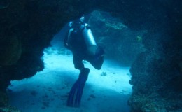 Bandera Reef Scuba Diving Cancun