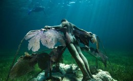 Punta Nizuc Dive or Snorkel Cancun