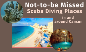 Scuba Diving Cancun Experience