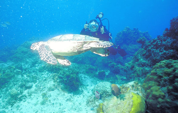 Montego Bay Scuba Diving