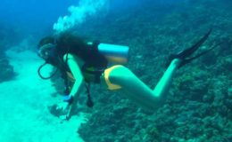 Scuba Diving Cancun