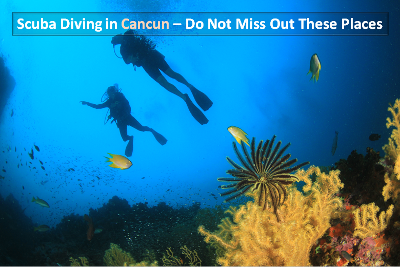 Scuba Diving Cancun